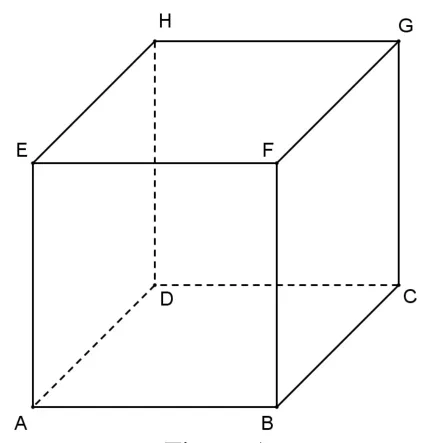 Figura 1: cubul ABCDEFGH.