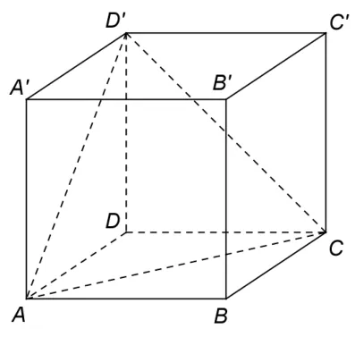 Figura 1: cubul ABCDA'B'C'D' cu triunghiul ACD' trasat punctat.