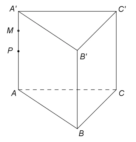 Figura 3: prisma dreaptă triunghiulară ABCA'B'C' cu punctele M și P pe muchia AA'.