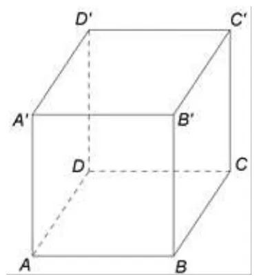 Figura 1: cubul ABCDA'B'C'D', cu DD' muchie perpendiculară pe planul bazei superioare și B'C' muchie din acea bază.