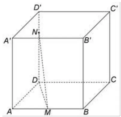 Figura 3: cubul ABCDA'B'C'D', cu M mijlocul lui AB și N pe DD', la două treimi din înălțime față de D; sunt trasate DM și MN.