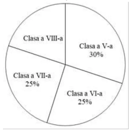 Diagramă circulară: Clasa a V-a 30%, Clasa a VI-a 25%, Clasa a VII-a 25%; sectorul rămas este Clasa a VIII-a, fără procent imprimat.