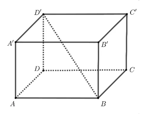 Paralelipipedul dreptunghic ABCDA'B'C'D' cu diagonala BD' trasată punctat.